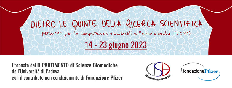 Banner Dietro le quinte della ricerca edizione 2023