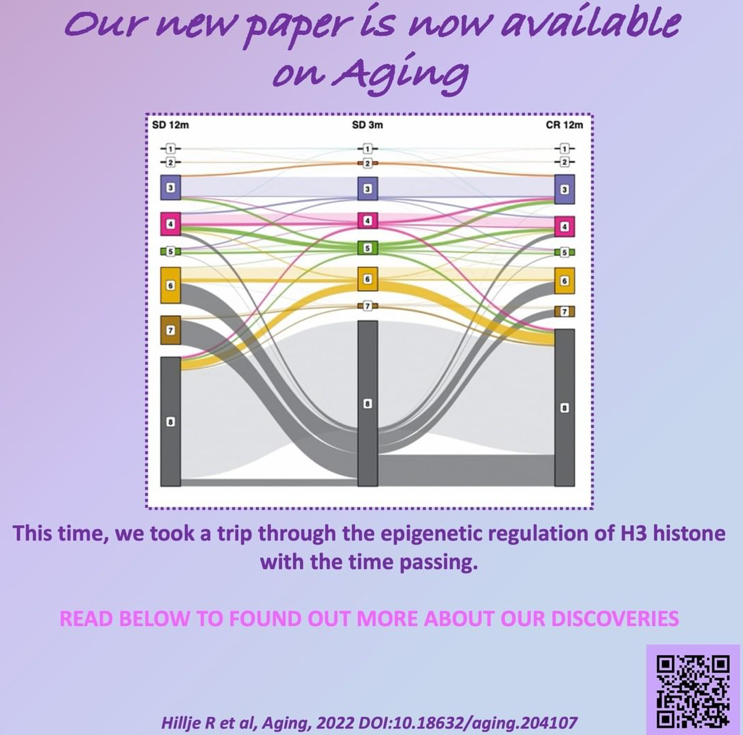 Hillje R et al, Aging, 2022 DOI:10.18632/aging.201107